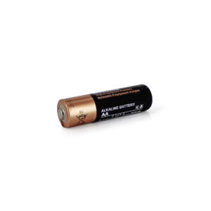 MN1500 | AA Battery